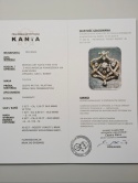 Wisior / Brosza 1,50ct